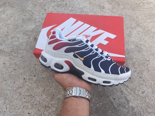 Nike TN PSG