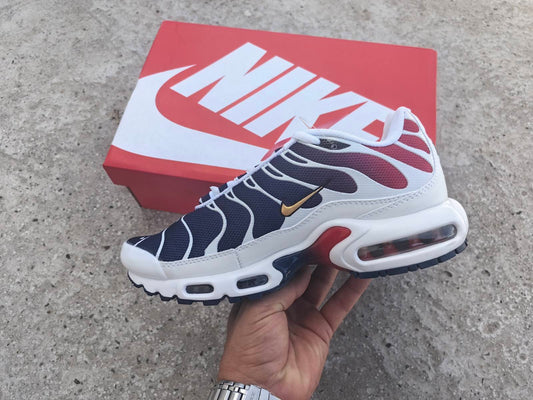 Nike TN PSG